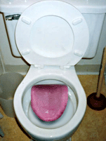 LES WC PARLANT
