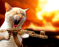 LE CHAT